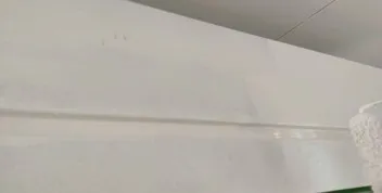 その他付帯部 上塗り